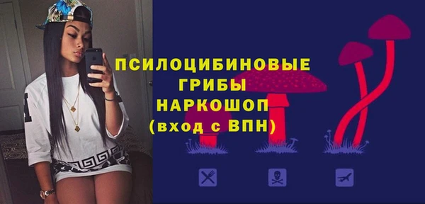 тгк Алексин