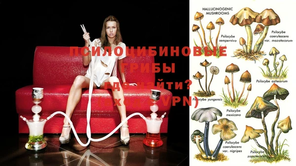 метадон Алзамай