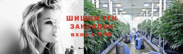 гашик Арсеньев