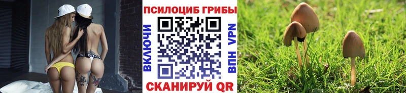 Псилоцибиновые грибы ЛСД  даркнет формула  Бикин 